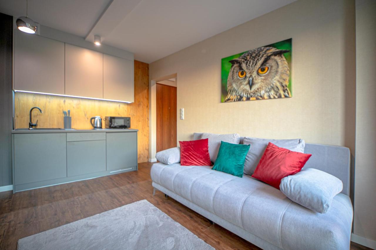 Apartment Kurort Kozubnik - Kiczora Nad Strumykiem - Dream *