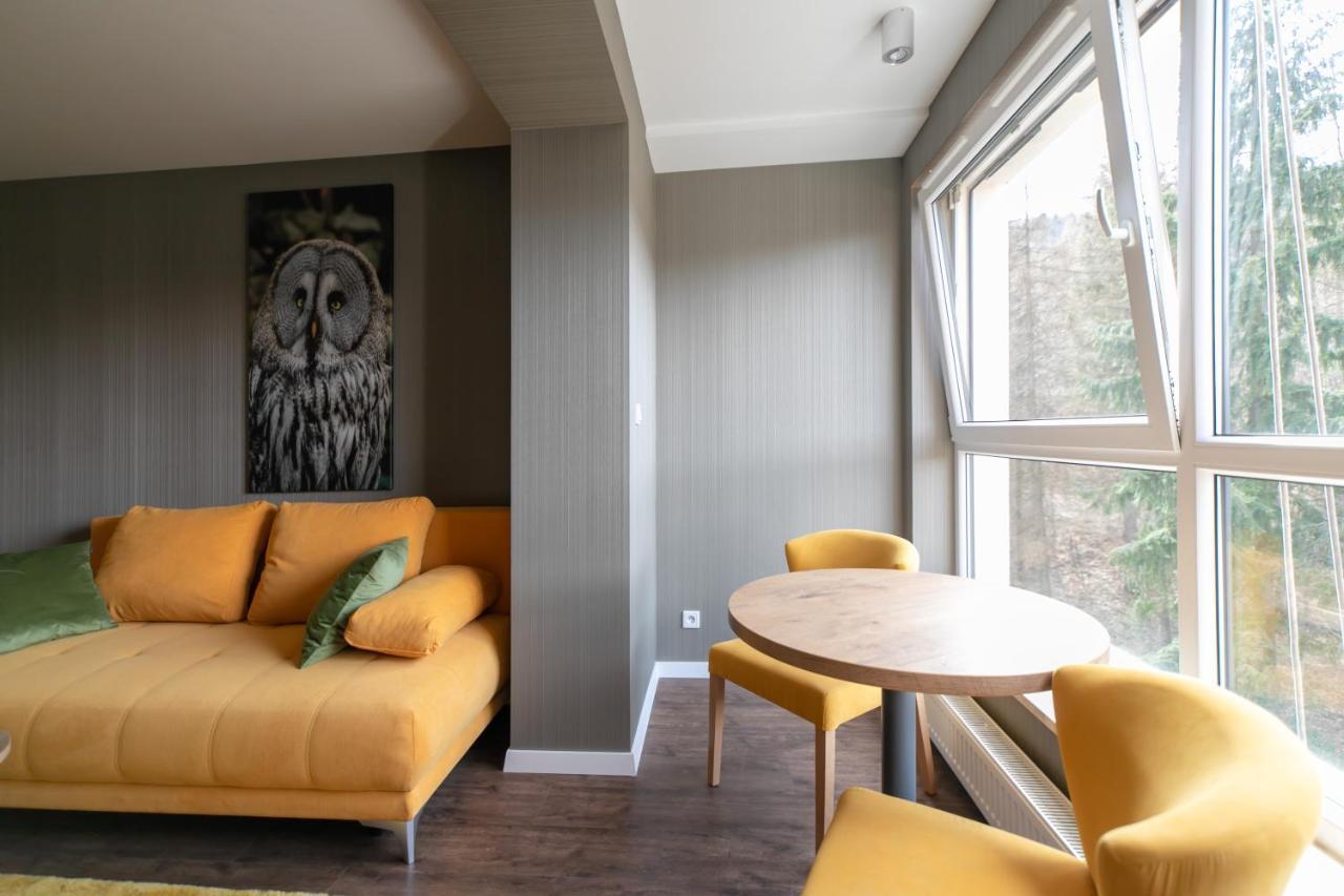 Kurort Kozubnik - Kiczora Nad Strumykiem - Dream Apartment