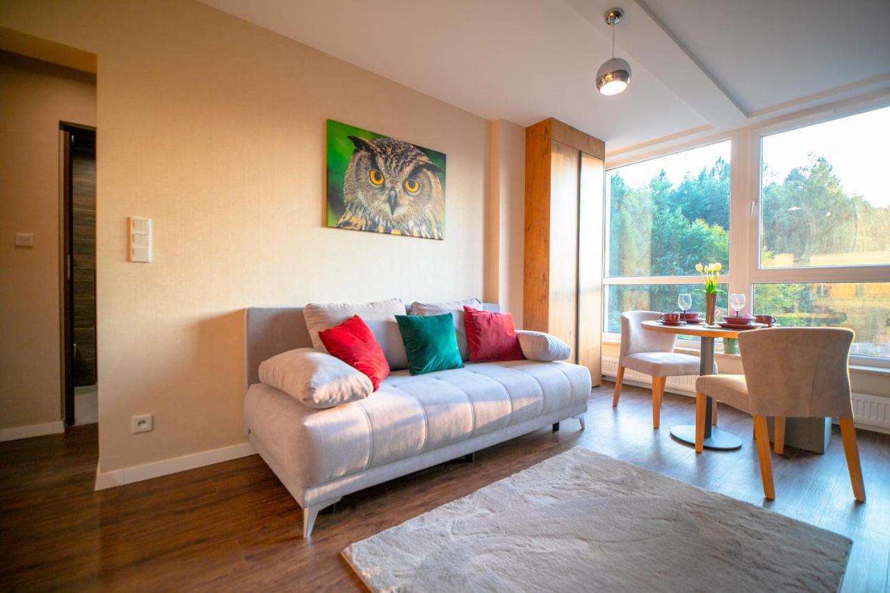 Kurort Kozubnik - Kiczora Nad Strumykiem - Dream Apartment *
