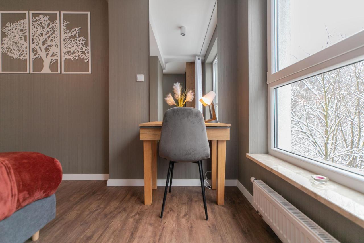 Kurort Kozubnik - Kiczora Nad Strumykiem - Dream Apartment