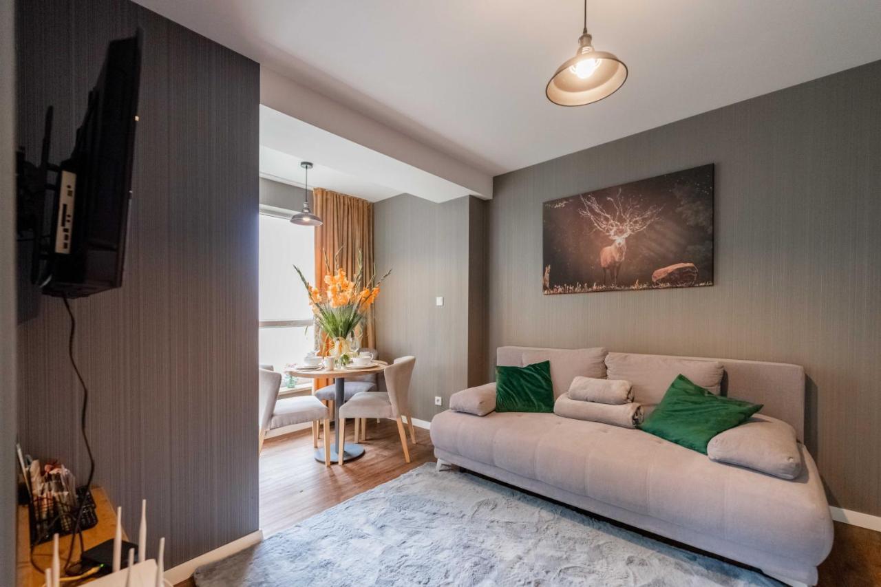 Kurort Kozubnik - Kiczora Nad Strumykiem - Dream Apartment