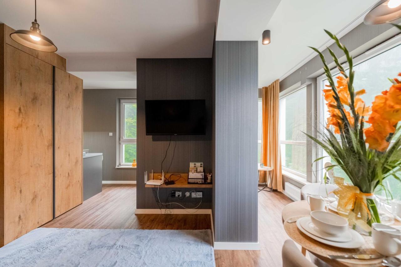 Kurort Kozubnik - Kiczora Nad Strumykiem - Dream Apartment *