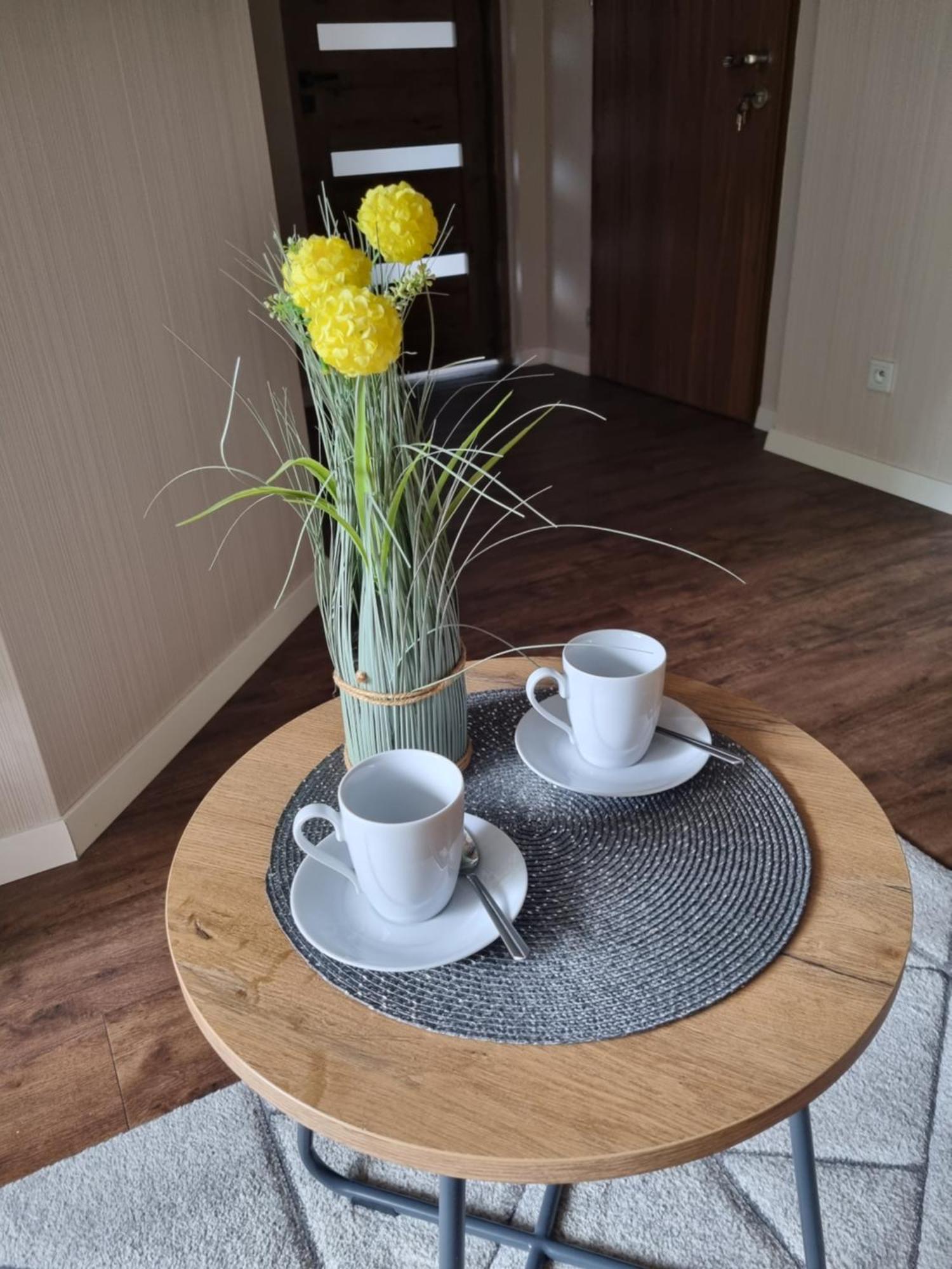 Kurort Kozubnik - Kiczora Nad Strumykiem - Dream Apartment